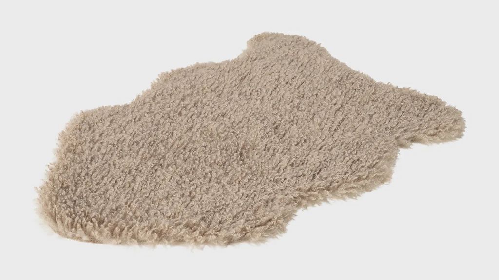 IMG_4376.JPG